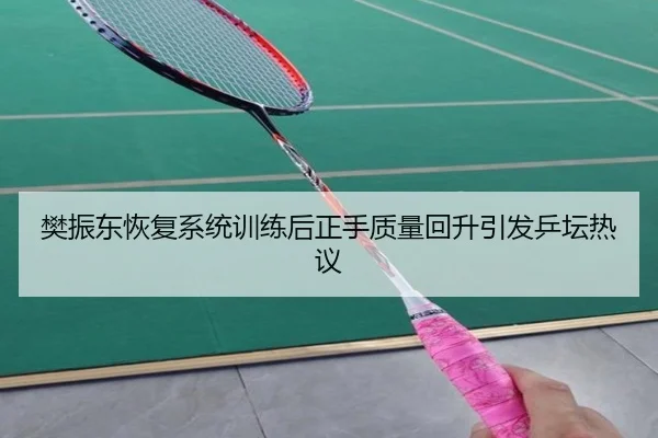 樊振东恢复系统训练后正手质量回升引发乒坛热议